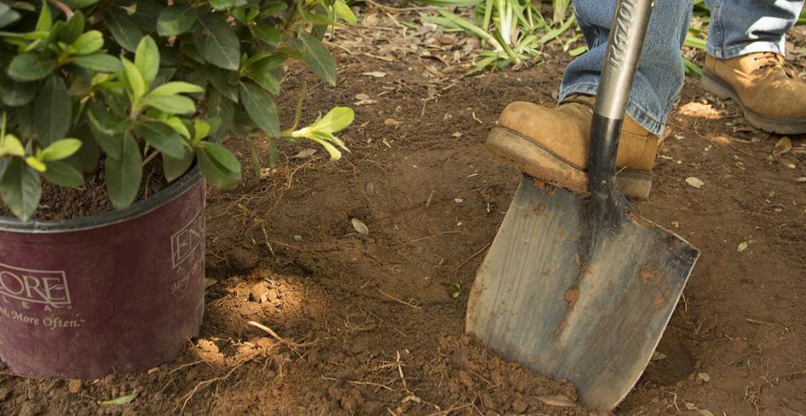 digging-wood-handle-e1531423926971